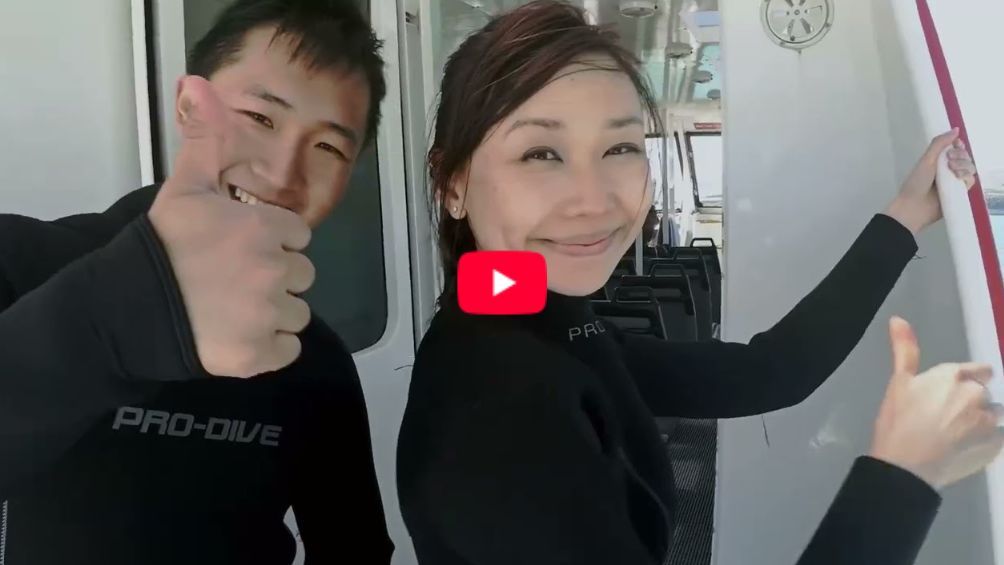 Play Video - Study and Play in Ōtautahi Christchurch